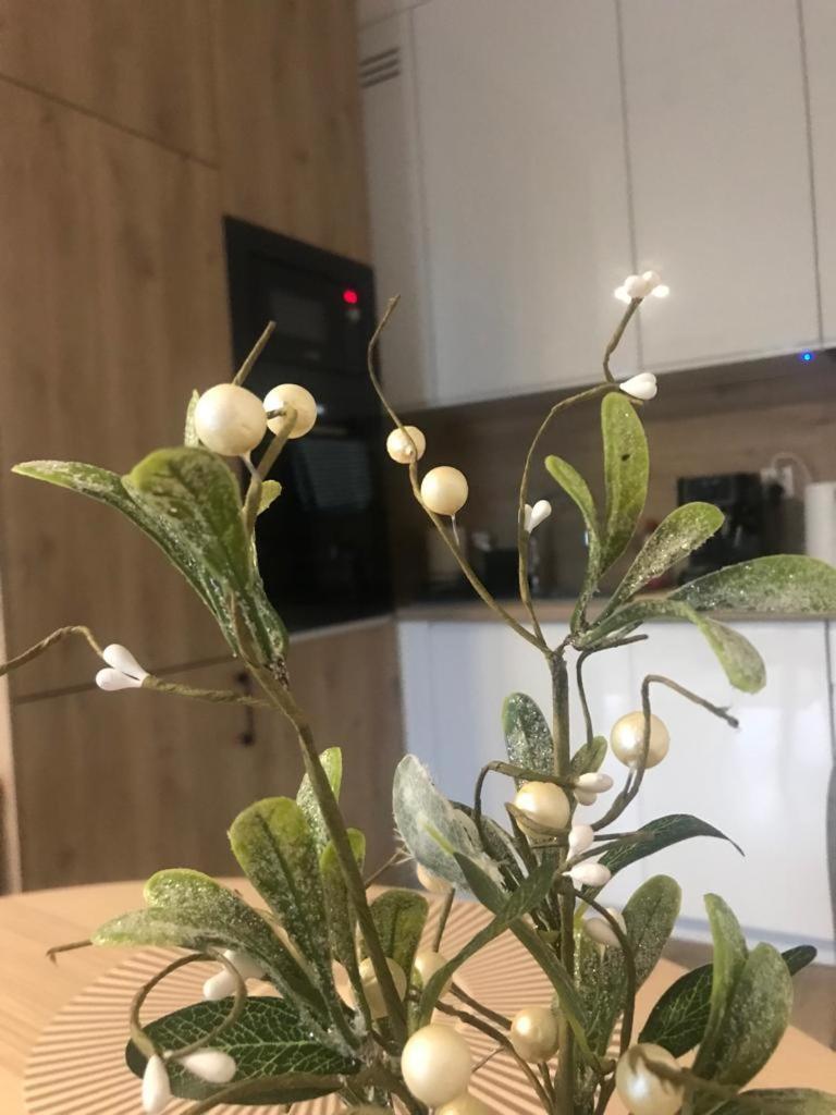 Apartament Kameralis Old Town - Klimatyzacja - Balkon - Winda Elbląg Zewnętrze zdjęcie